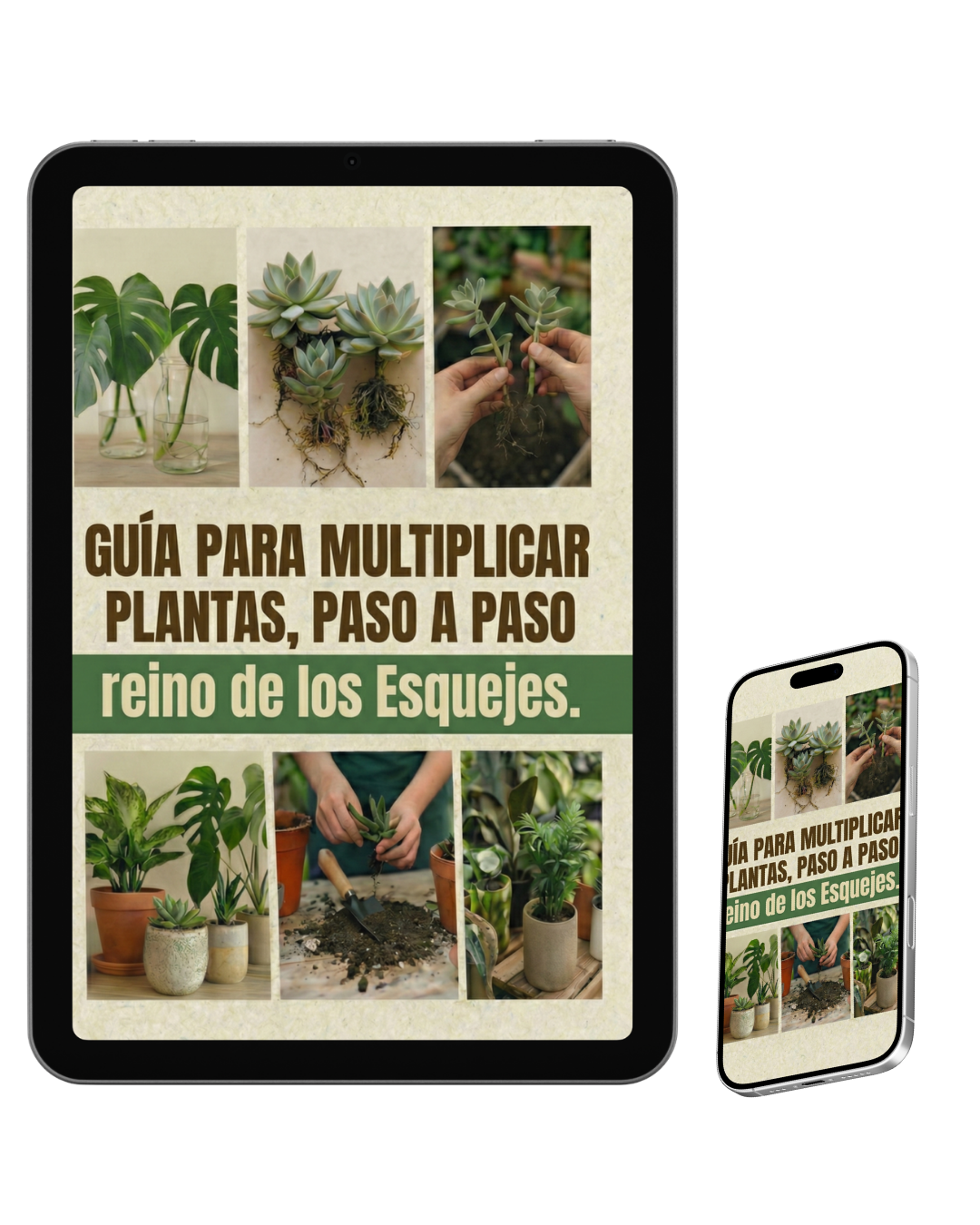 Reino del esqueje + 6 bonos de regalo 🎁